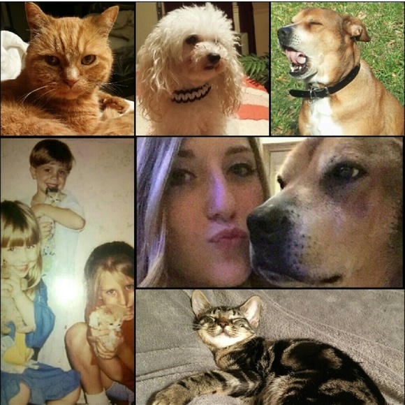 @dvacante is now @thewispygypsy🌹 - Picture 7 of 8